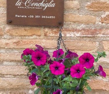 Sirolo Apartment | LA CONCHIGLIA - Sirolo Suite