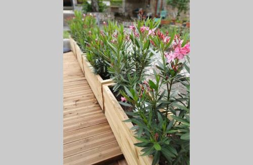 Saint-Pierre-de-Curtille House | La Curtillette