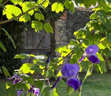 Fresnay-sur-Sarthe House | La Demeure d'Euphrosine