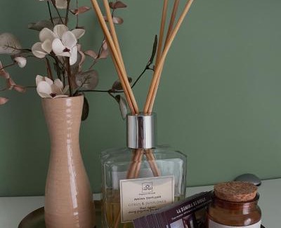 Borgo San Dalmazzo Apartment | La Dimora di Borgo