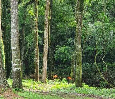 Puerto Leoni Cabin | la escondida