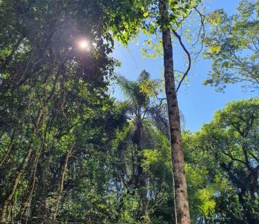 Puerto Leoni Cabin | la escondida