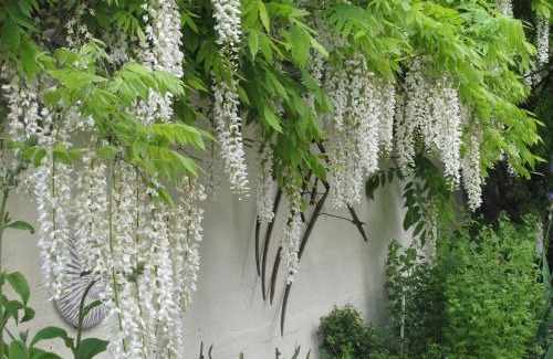 Bois-le-Roi Bed & Breakfast | La FALLONNIERE