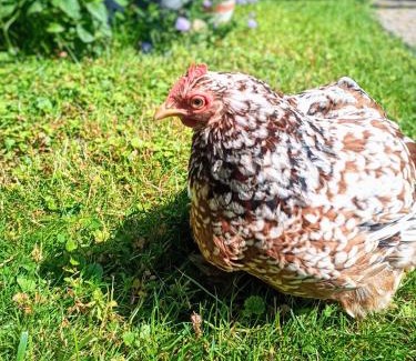 Saint-Cyr-l'Ecole Apartment | La Fremille T2 - 1br - 400m gare Versailles Paris - Piscine Terrasse Parking