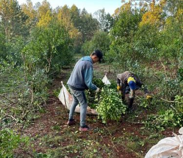Aristobulo del Valle House | La Gloriosa eco house