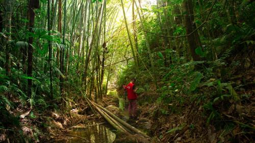La Tebaida Hotel | LA GRANJA ECOHOTEL