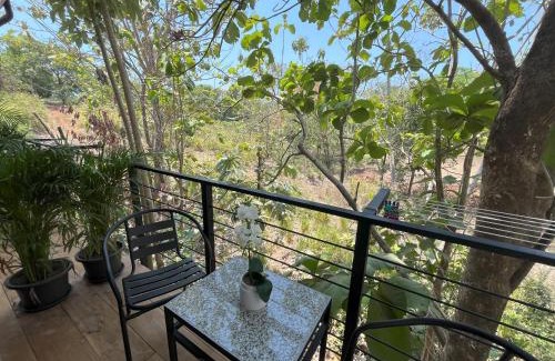 Puerto Carrillo Bed & Breakfast | La Jungla