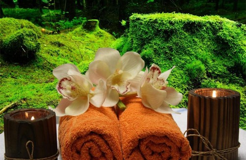 Renneville Bed & Breakfast | LA LOUISIANE 31