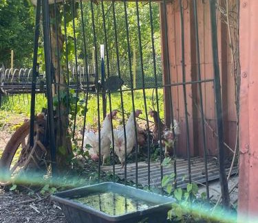 La Ferte-Gaucher House | La maison du Manoir 1900