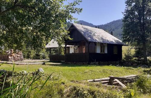 Carlibaba House | La Malu' Bistritei - casutele Valea Stanii