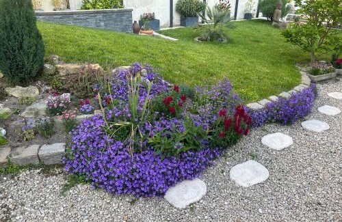 Reims House | La Petite Maison de Jane