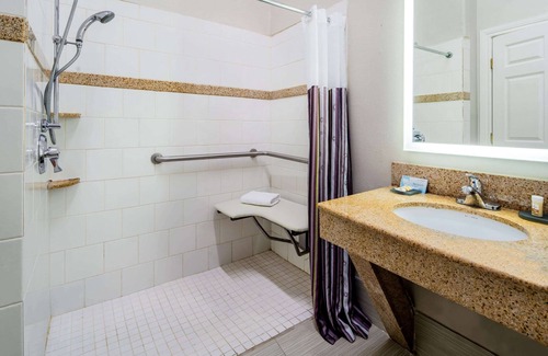 Alamo Hotel | La Quinta Inn & Suites by Wyndham Alamo - McAllen East