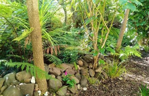 Akaroa Hotel | La Rochelle Motel