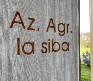 Forli Bed & Breakfast | La Siba Experience