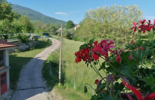 Bedonia House | La soffitta di Anita