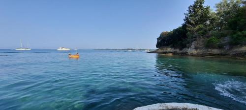 Perivolion Apartment | La Soffitta di Bampina