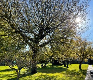 Mogro Villa | La Solana de Mogro