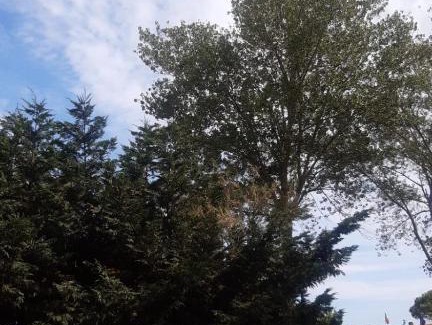 Lido di Volano House | La spiaggia 2