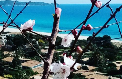 Costa Rei House | La Terrazza sull'Alba