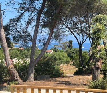 Belvedere-Campomoro Other | La vallée