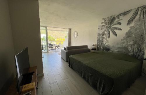 Anse Marcel Apartment | La vie est belle à Saint Martin