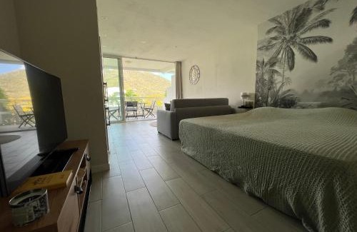 Anse Marcel Apartment | La vie est belle à Saint Martin
