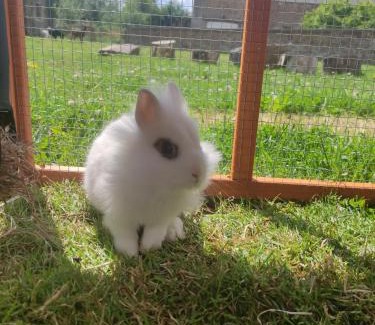 La Chapelle sur Vire House | La vie est belle