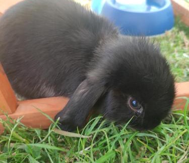 La Chapelle sur Vire House | La vie est belle