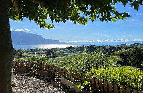 Montreux Apartment | La Vigne - 3.5 Zi Apt mit grosser Terrasse