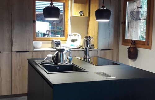 Faverges-Seythenex Ski Chalet | LAC ANNECY-chalet - Plein sud- Swimming pool