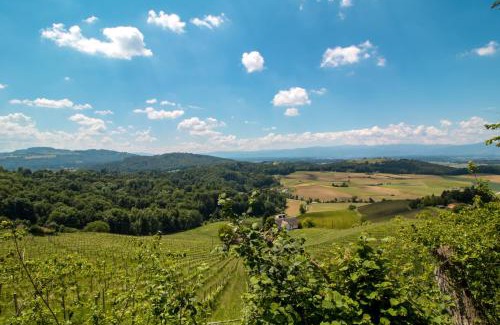 Sankt Nikolai im Sausal Apartment | Lackenbauer