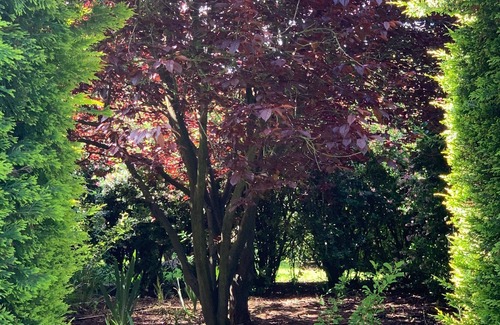 Yambuk Apartment | Lahinch - Port Fairy Flyer One