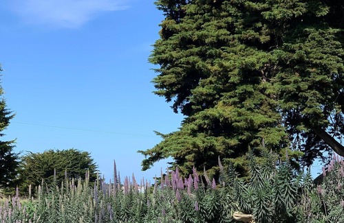 Yambuk Apartment | Lahinch - Port Fairy Flyer One