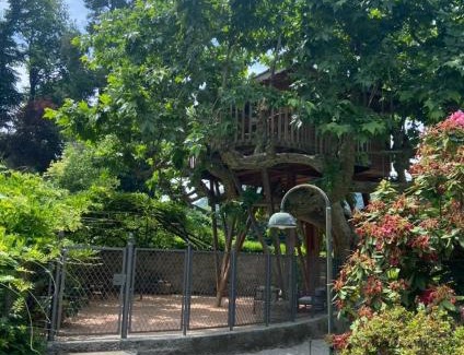 Como Other | Lake Como Dream Tree House