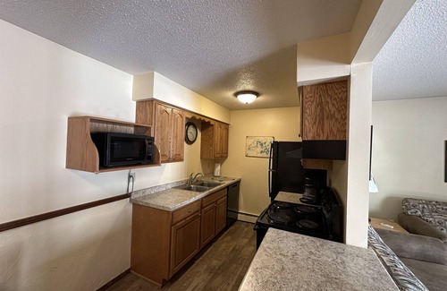 Eagle River Condo | Lake Forest Resort – Relax on a Pristine Sandy Beach in the Northwoods!