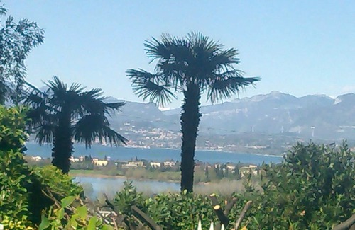 San Benedetto di Lugana Apartment | Lake Garda: penthouse garden with lake view in Peschiera GRADITI ANIMALS