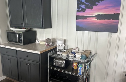 Pine River House | Lake Home-HUGE Sandy Beach Ski, swim, fish Full recreational lake