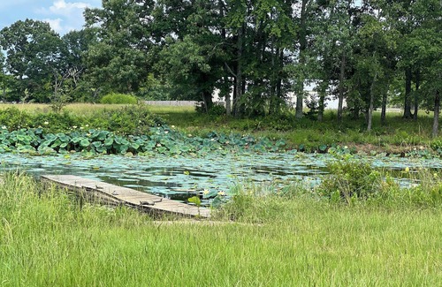 Alba House | Lake house off of Lake Fork, one of the best bass fishing lakes in the country!