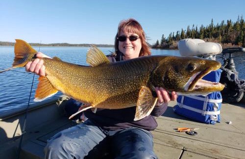 Lake Louise Cabin | Lake Louise Lodge, Alaska
