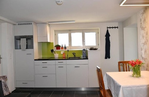 Wilen Other | Lake view