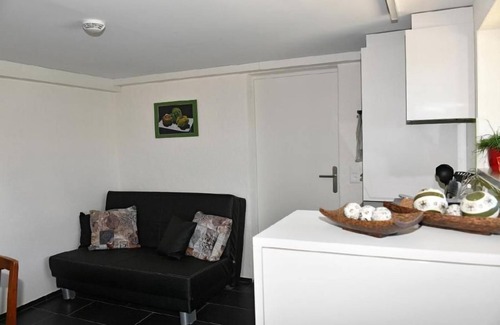 Wilen Other | Lake view