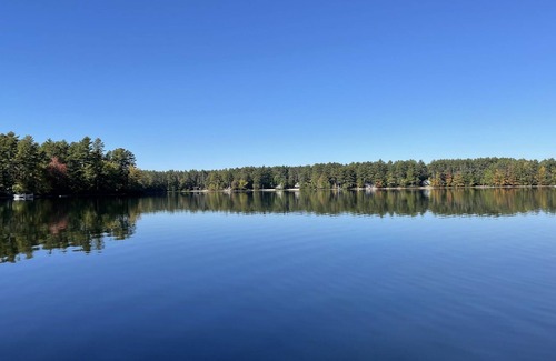 Wakefield House | Lake View Cottage with Hammock/Swing & Fire Pit & Two New Jacuzzi Spa Hot Tubs