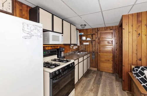 Chippewa Lake Cabin | Lakefront Cabin for Two w/Pickleball