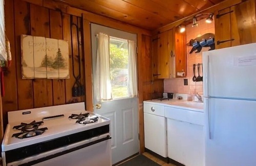 Alden Cabin | Lakefront Cabin - Northaire Resort Cabin 3