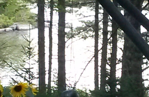 Lunenburg County Cabin | Lakefront log cabin in the woods