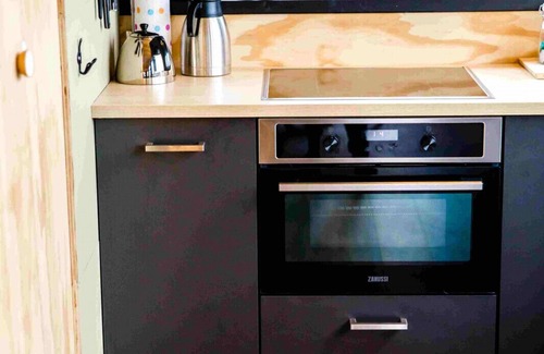 Birstum Cabin | Lakefront Nature House with own shared dock in Friesland: Reade Wikel