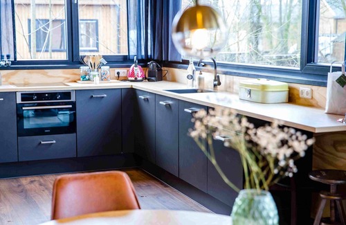 Birstum Cabin | Lakefront Nature House with own shared dock in Friesland: Reade Wikel