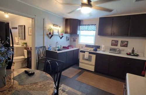 Clermont Cabin | LAKEFRONT- peaceful hideaway, short drive to attractions, springs and beaches.