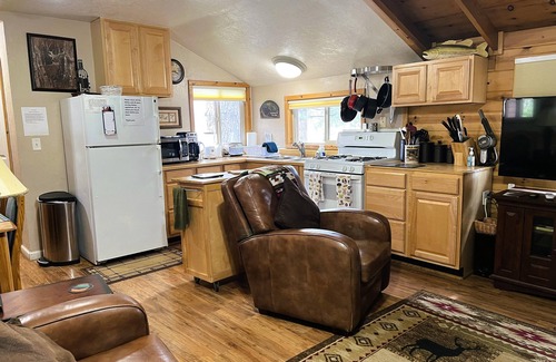 Peninsula Village Cabin | Lakeside Cabin, Cozy Family Pet-Friendly, Beautiful Views, Free Dock & Boat Slip