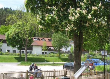 Dietfurt House | Landgasthof Zum Wolfsberg